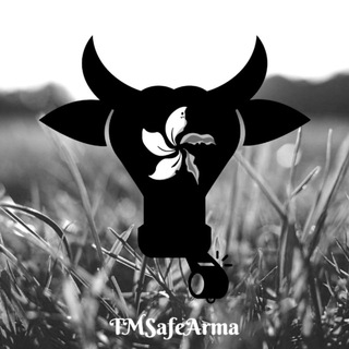 Telegram: view @tmsafearma